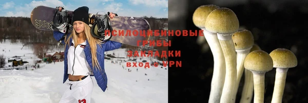 скорость Краснослободск