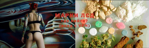ПСИЛОЦИБИНОВЫЕ ГРИБЫ Красноперекопск