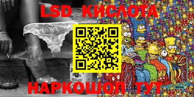 тгк Кингисепп