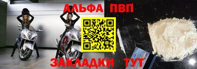 тгк Кингисепп