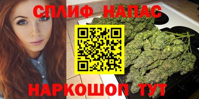 тгк Кингисепп