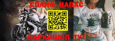 тгк Кингисепп