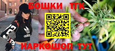 тгк Кингисепп