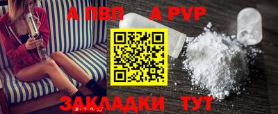 тгк Кингисепп