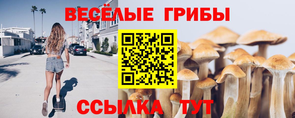 LSD-25 Кунгур